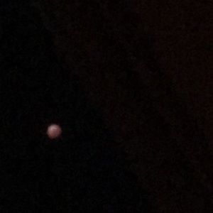 Meet your Posher, Tomasa